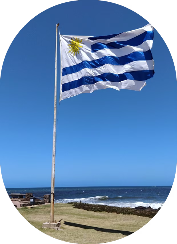 Decoración en uruguay